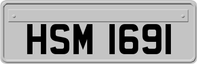HSM1691