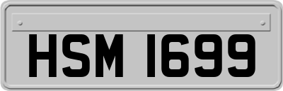 HSM1699