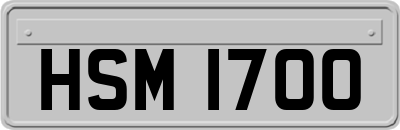 HSM1700