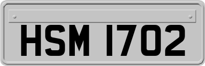 HSM1702