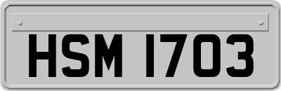 HSM1703