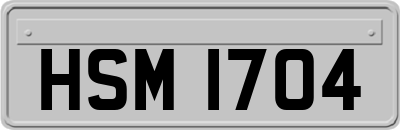 HSM1704