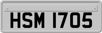 HSM1705