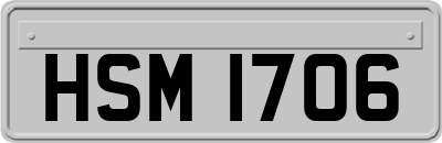 HSM1706