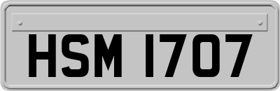 HSM1707