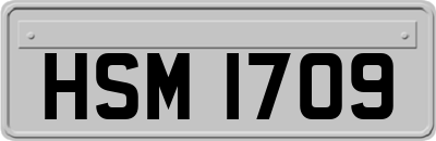 HSM1709