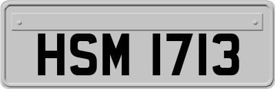 HSM1713