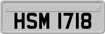 HSM1718