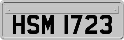 HSM1723