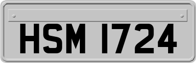 HSM1724