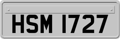 HSM1727