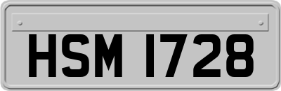 HSM1728