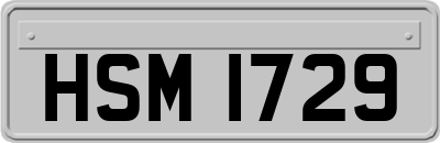 HSM1729