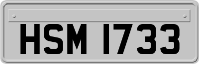 HSM1733