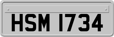 HSM1734