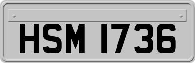HSM1736