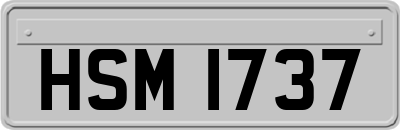 HSM1737