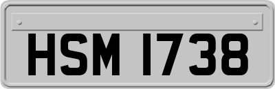 HSM1738