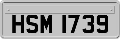 HSM1739