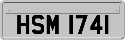 HSM1741