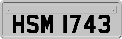 HSM1743