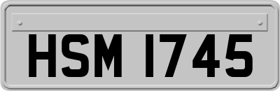 HSM1745