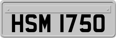 HSM1750