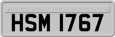 HSM1767