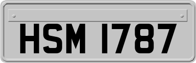 HSM1787