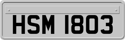 HSM1803