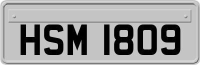 HSM1809