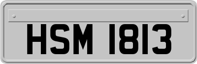 HSM1813