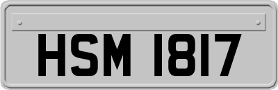HSM1817