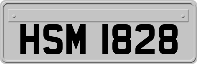 HSM1828