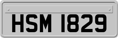 HSM1829