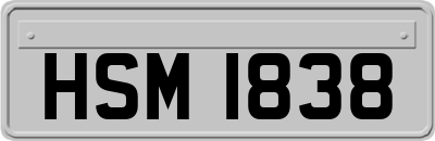HSM1838