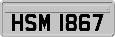 HSM1867