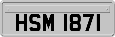 HSM1871