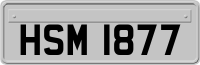 HSM1877