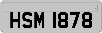 HSM1878