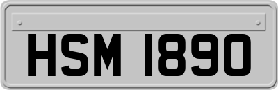 HSM1890