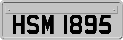 HSM1895