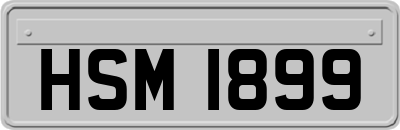 HSM1899
