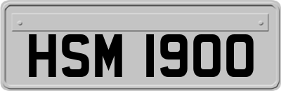 HSM1900