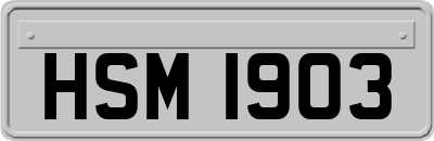 HSM1903