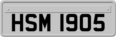 HSM1905