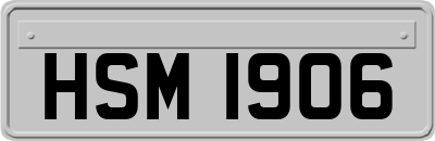 HSM1906