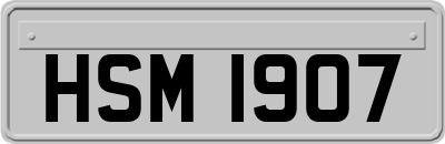 HSM1907