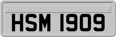 HSM1909