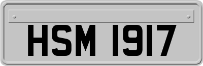 HSM1917